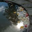 Jill Washburn Photo 6