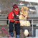 Lisa Reeder Photo 20