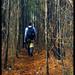 Justin Parker Photo 40