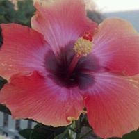 Melinda Warren Photo 33