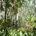 Carole Newman Photo 9