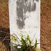 William Mccormick Photo 46