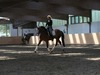 Christine Hendrick Photo 11