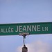 Jeanne Lane Photo 14