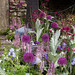 Catherine Bradbury Photo 10