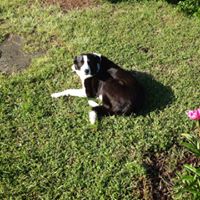 Martha Gaddy Photo 4
