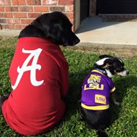Anne Echols Photo 5