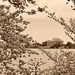 Jefferson Strong Photo 6