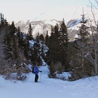Gary Waldon Photo 11