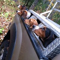 Stacey Douglas Photo 27