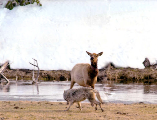 Wayne Minor Photo 5