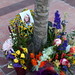 Judy Peterson Photo 31