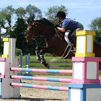Michelle Capps Photo 10