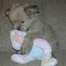 Elizabeth Rhoads Photo 40