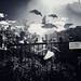 Don Wing Photo 10