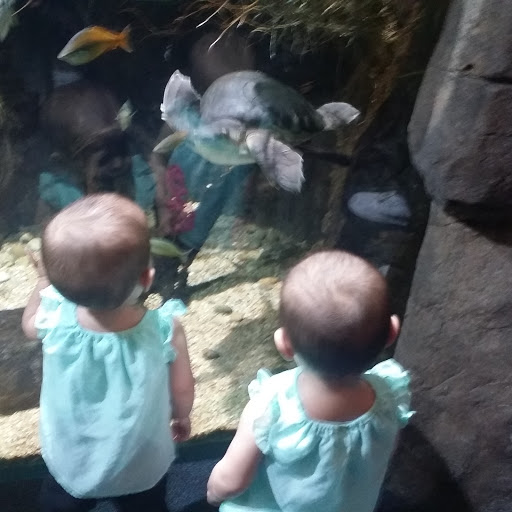 Miguel Romero Photo 41