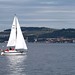Roger Fife Photo 15