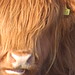 Jennifer Mull Photo 13