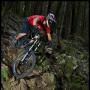 Roger Evans Photo 17