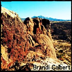 Brandi Colbert Photo 31