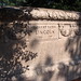 Robert Todd Photo 35