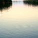 Cary Johnson Photo 11