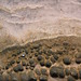 Steven East Photo 14