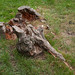 Henry Field Photo 23