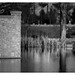 Don Reed Photo 6