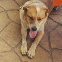 Penny Roberts Photo 4