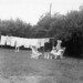 Margaret Dutton Photo 22