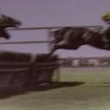 Robert Wilkinson Photo 13