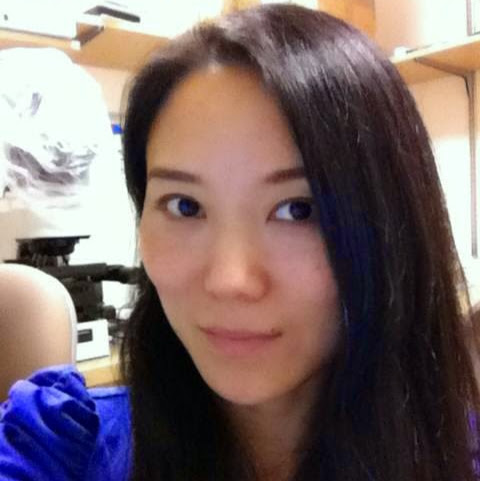Xin Qi Photo 17