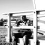Aaron Farley Photo 19