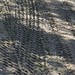Dick Skinner Photo 13