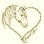 Jennifer Ketcham Photo 29
