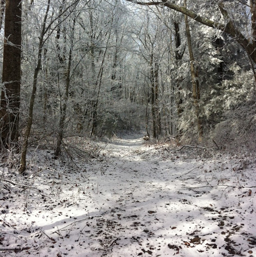 Todd Carroll Photo 9