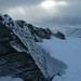 Nan Lyons Photo 9
