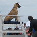 Terri Mooney Photo 13