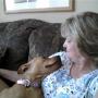 Pamela Cartwright Photo 24