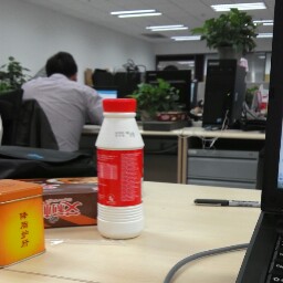 Ming Wang Photo 28