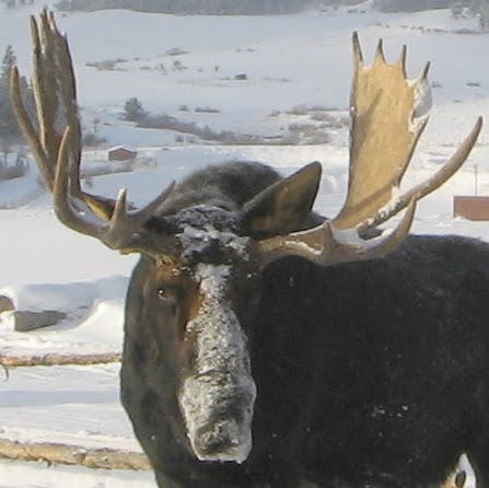 Raymond Covington Photo 19
