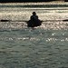 Mark Mccarty Photo 12