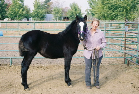 Bonnie Becker Photo 12