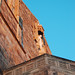 Philip Mccarthy Photo 21
