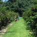 Jennifer Milburn Photo 28