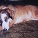 Coy Monroe Photo 13