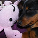 Marty Tucker Photo 14