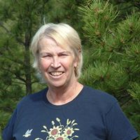 Joyce Noll Photo 6
