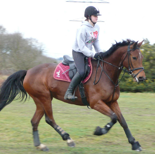 Frankie Smith Photo 3